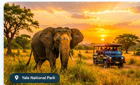 Bundala National Park wildlife in Sri Lanka